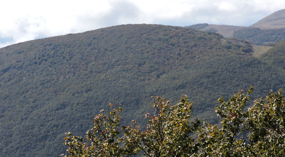 Monte Nero (Appennino ligure)